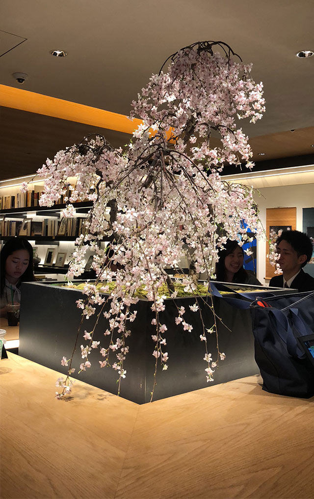校園書店設(shè)計(jì)